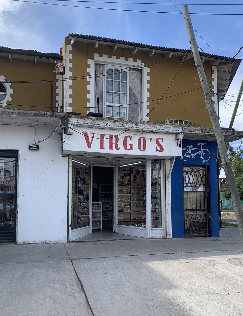 Maestro Splinter tweet media