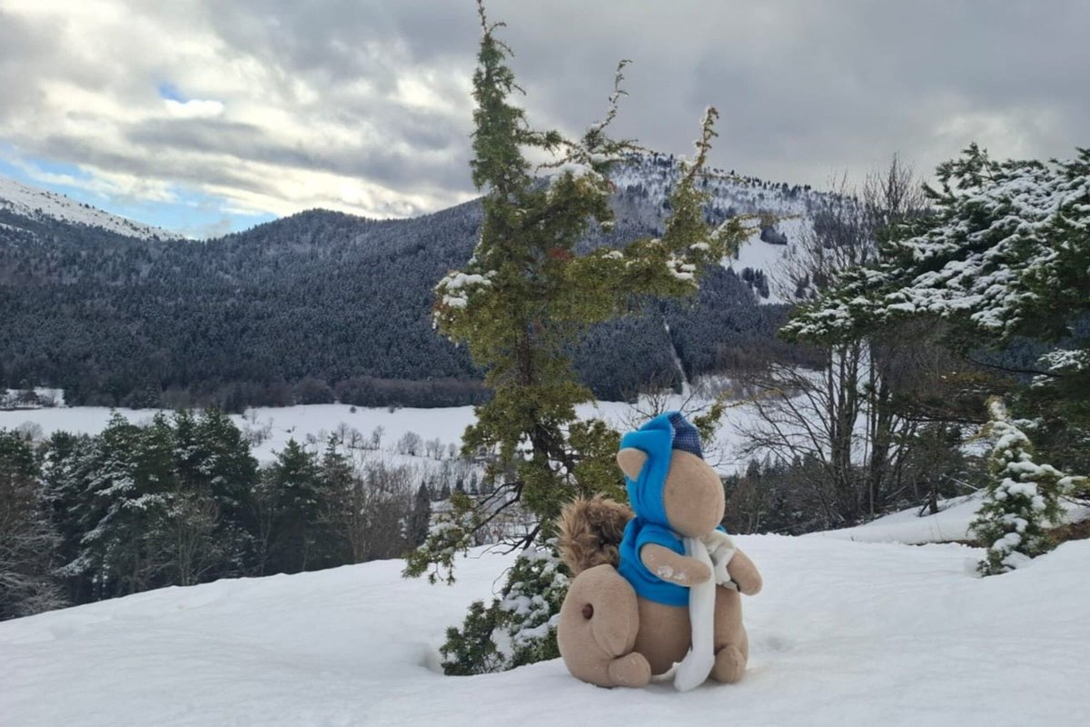 Fab Lab à l'école tweet media