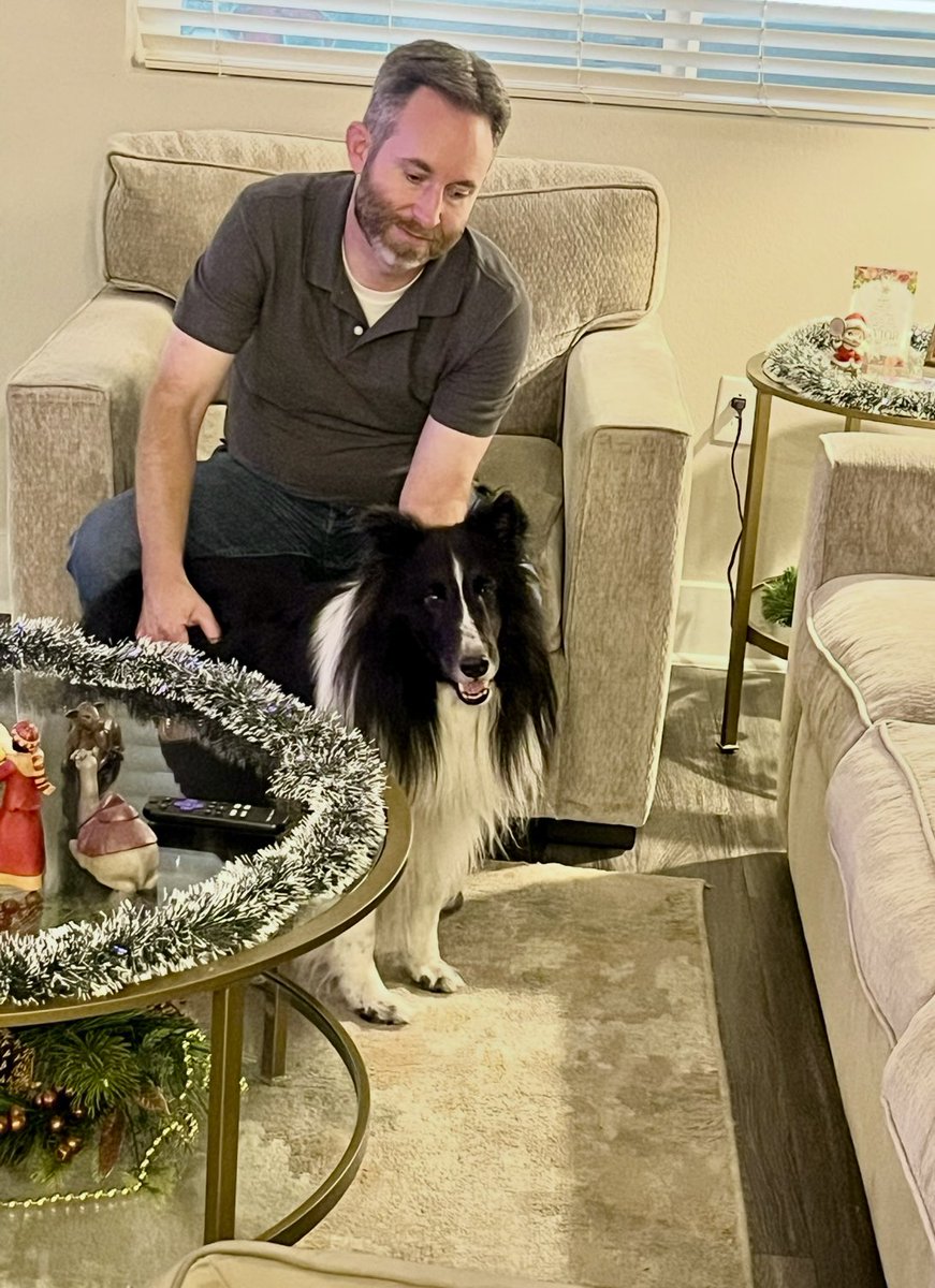 OCPetButler's tweet photo. Even on Christmas were involved with dogs. https://t.co/ubEyKxskKM