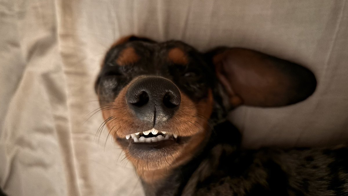 Los dientes 🥺
