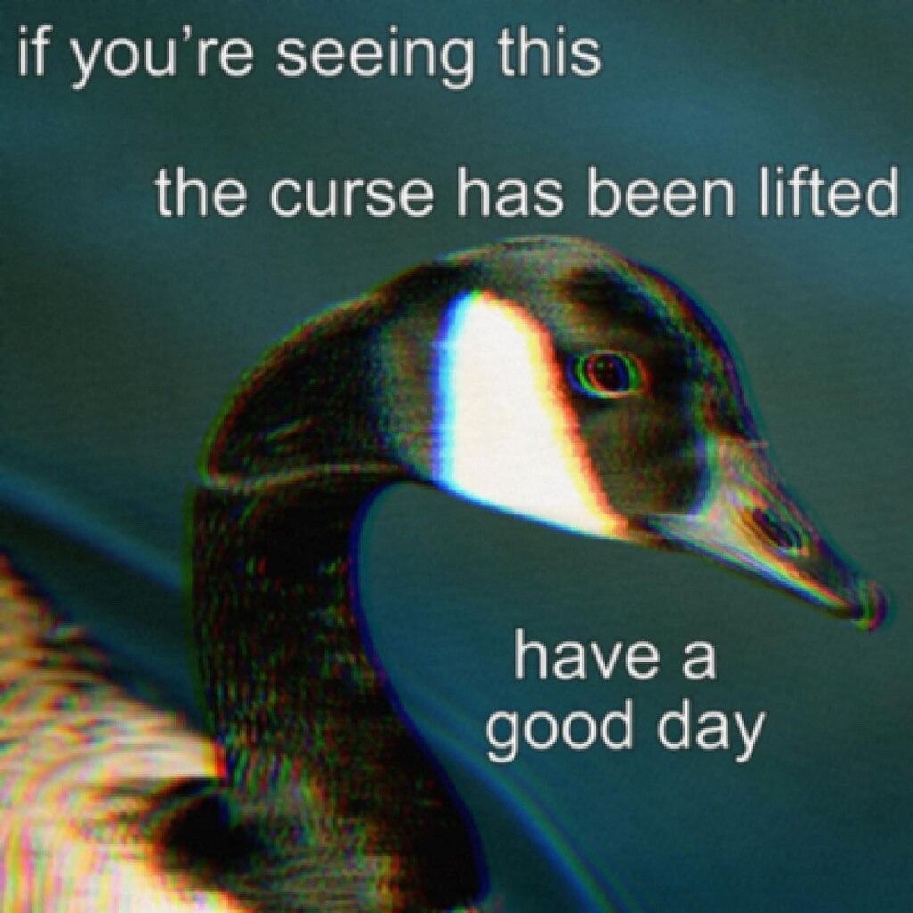 equine__dentist's tweet image. 