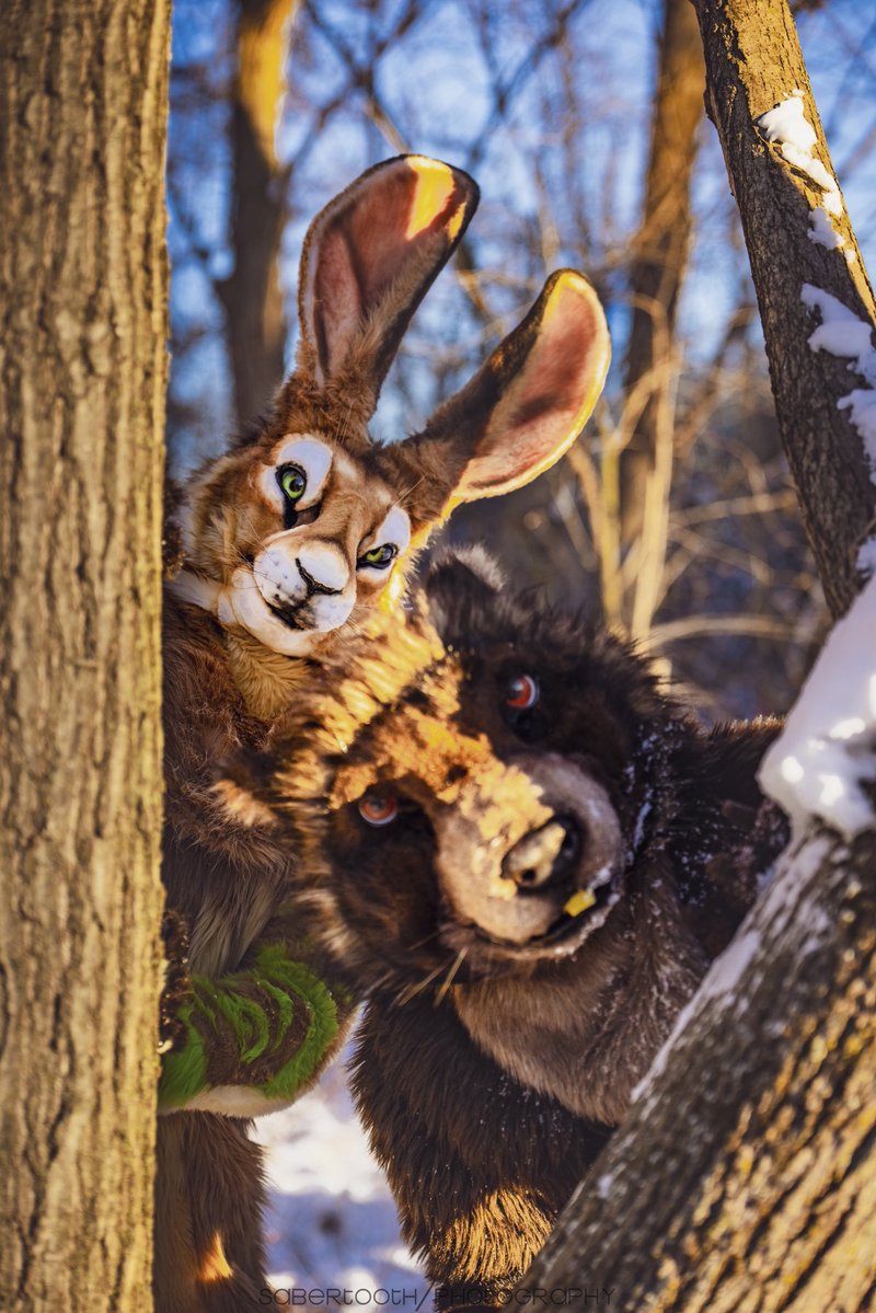 You come across these two critters, what’s your next move? 

🐰 <a href="/OnDaMarche/">Marche the Adventure-hare</a> 
📸 <a href="/vsabertoothv/">SABER x TOOTH 🔜 ANE</a>