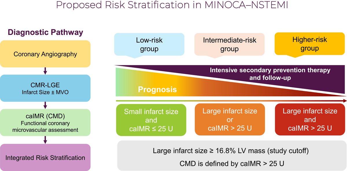 Edina Cenko tweet media