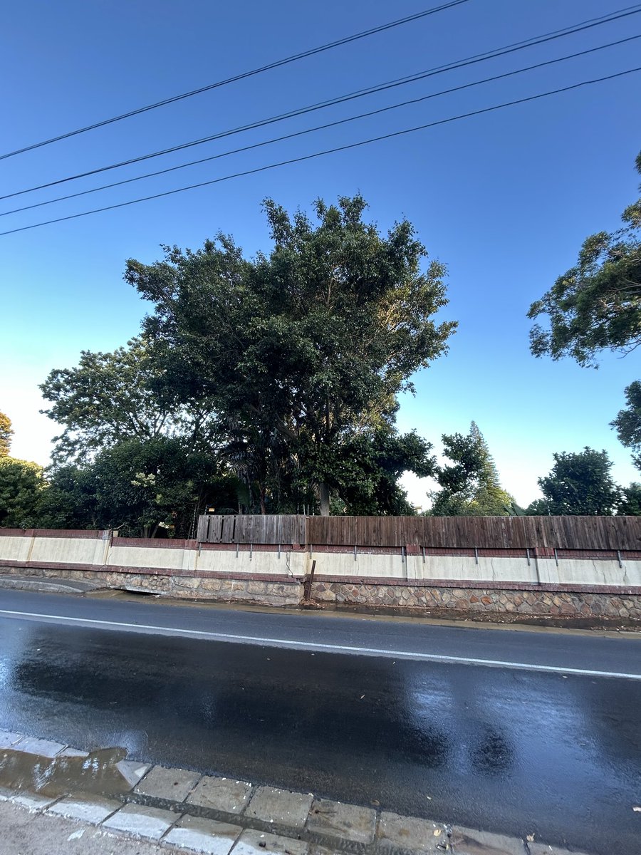waynecpt11's tweet photo. @CityofCT Burst water pipe corner Poplar and Rhodes Drive , Newlands https://t.co/7WrVLUo0eq