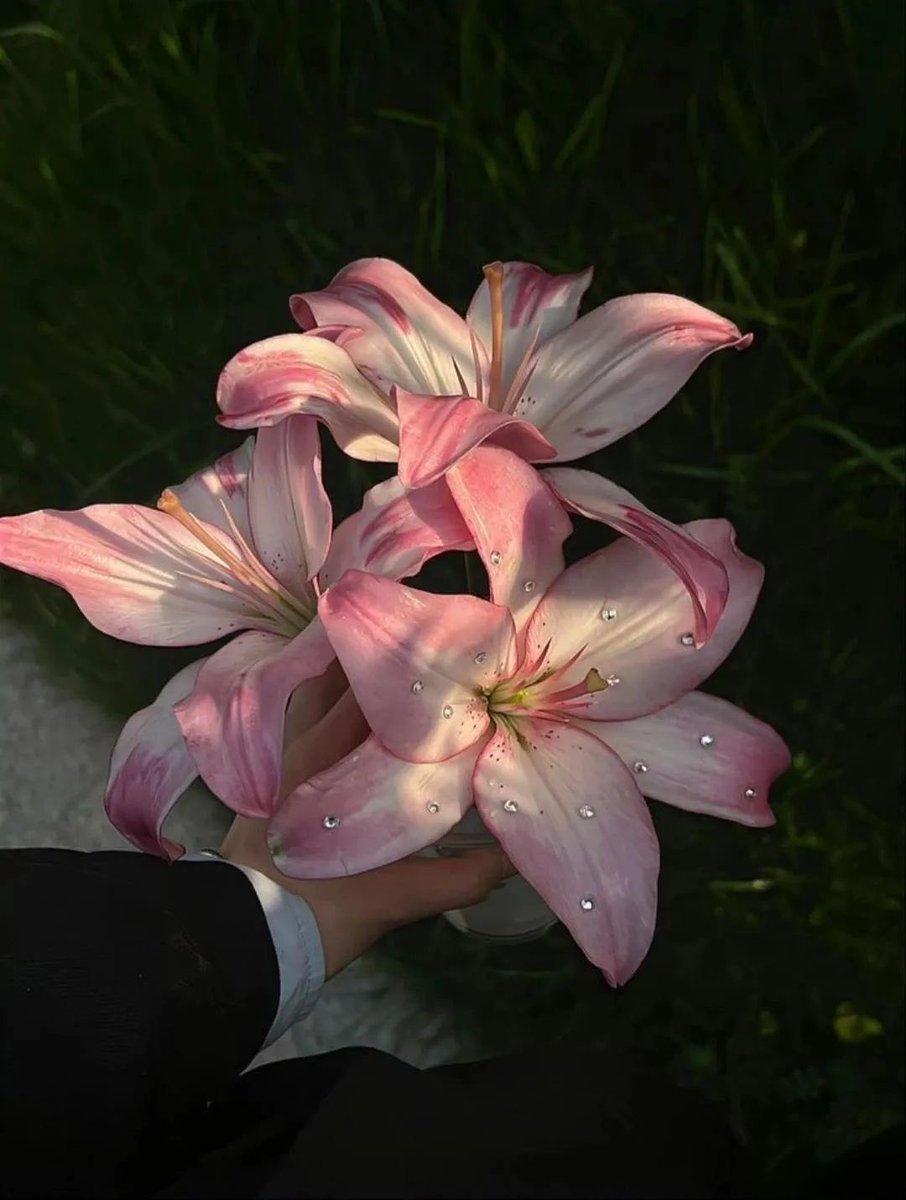 i3Moment's tweet image. 