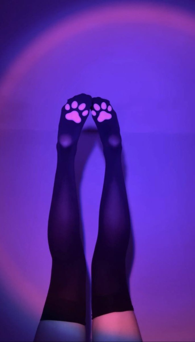 Meowxelia's tweet image. meow paws at you