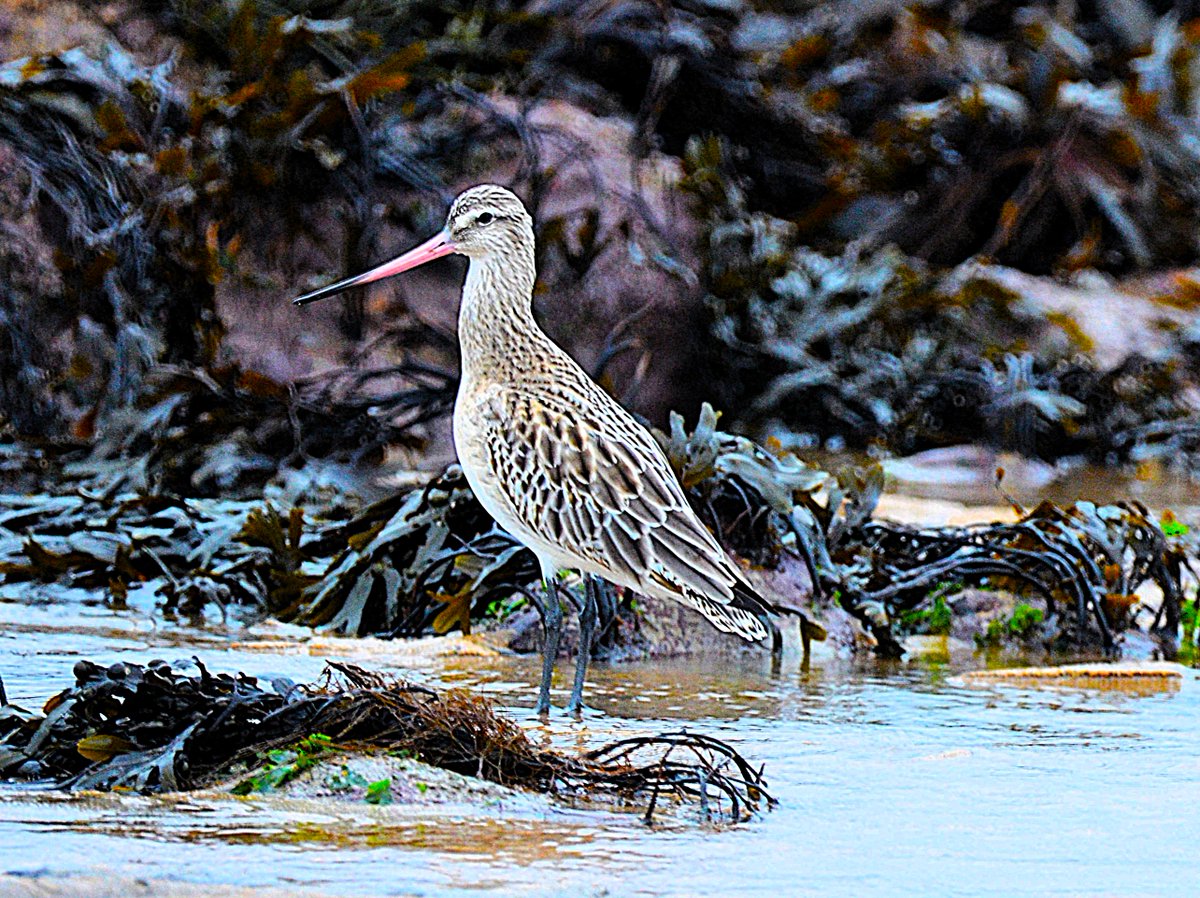 Keith Broomfield tweet media