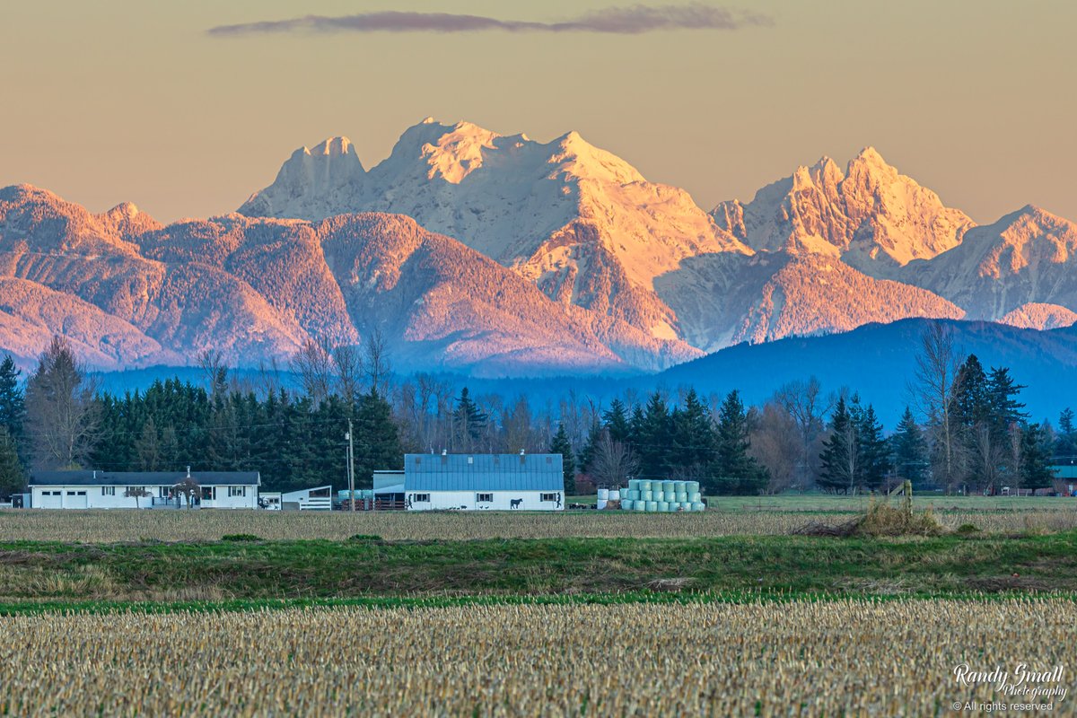 RandySmall's tweet image. An amazing view of the fresh snow on the Canadian mountains with Mt. Robie Reid glistening in the sunrise light this Saturday morning.🧐❄️🏔️

Everson, WA
#wawx #britishcolumbia #mountains #pnw #whatcomcounty
