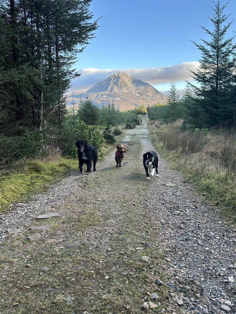 mattob's tweet image. Ireland is pretty nice this time of year.