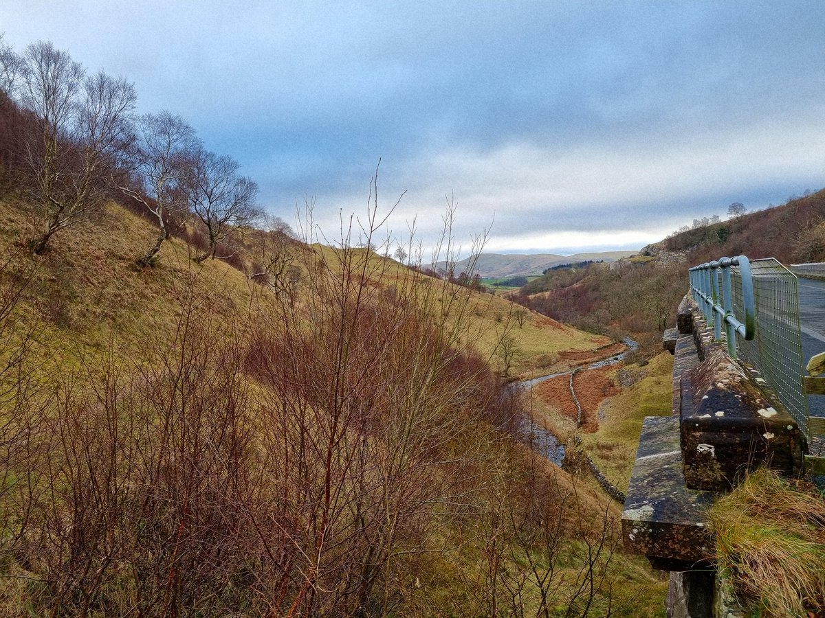 SheilaG17662835's tweet photo. Well, we got to the #fells at last. Boxing Day outing consisted of a visit to Tesco for more medication. Today, we coughed our way along @cumbriawildlife Smardale Gill. Managed 4 miles nice #Views . @keswickbootco #Cumbria https://t.co/ytmNPFpWUR