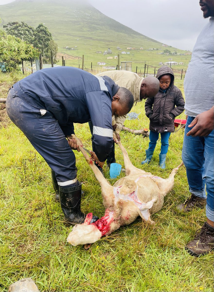 Christopher. tweet media