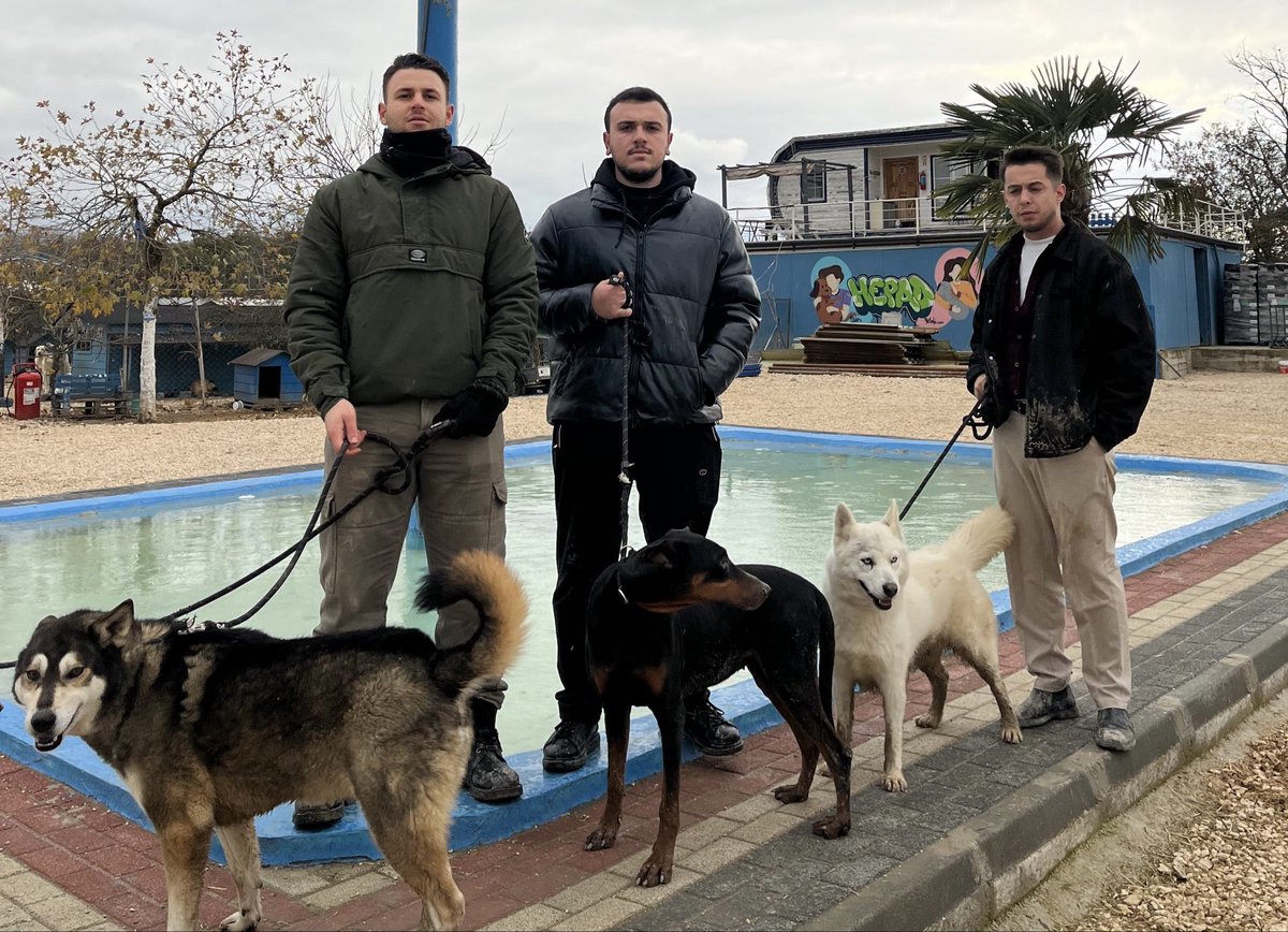 “dağ başlarında gezer kurtlar,
insanlar şehirlerde üşür.”