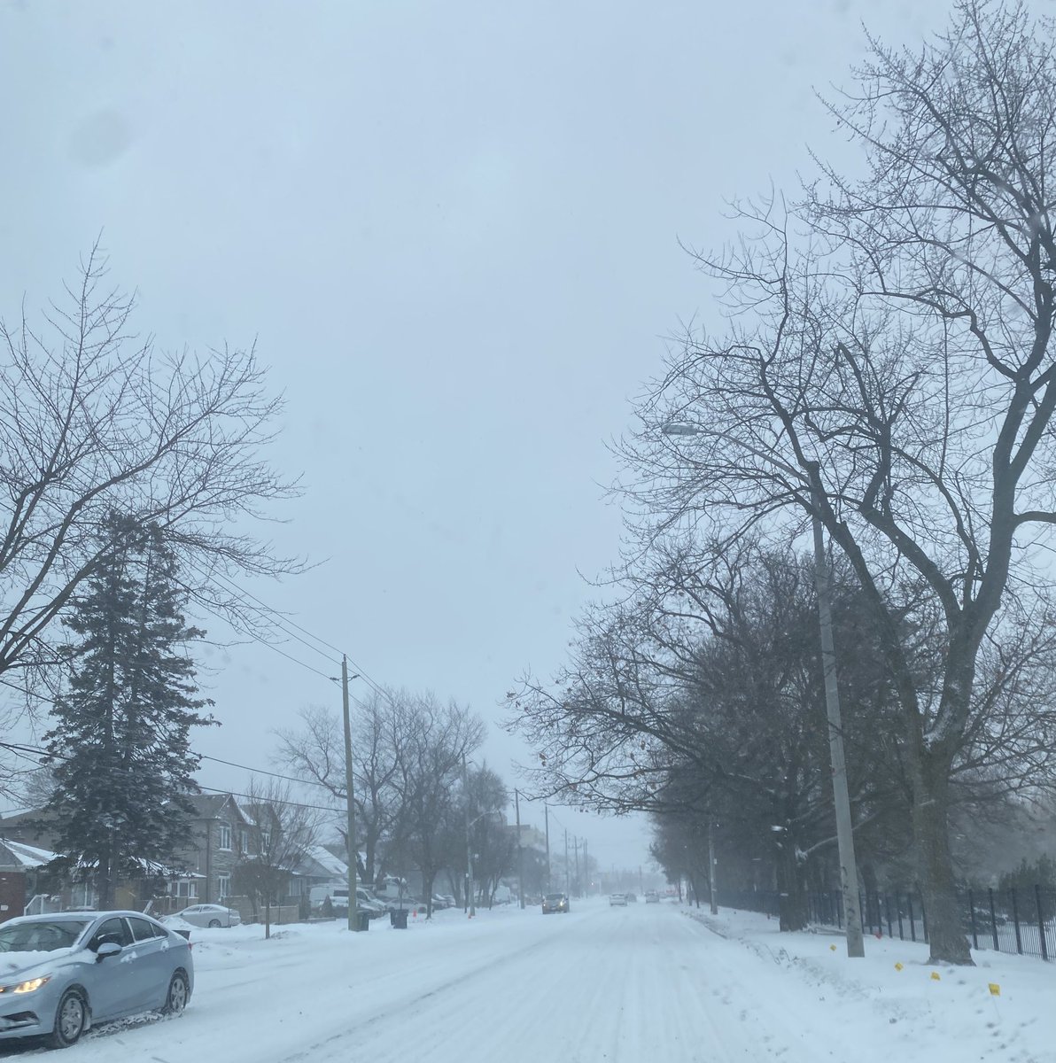 Afternoon Twitter Friends 😊❄️🙋🏻‍♀️