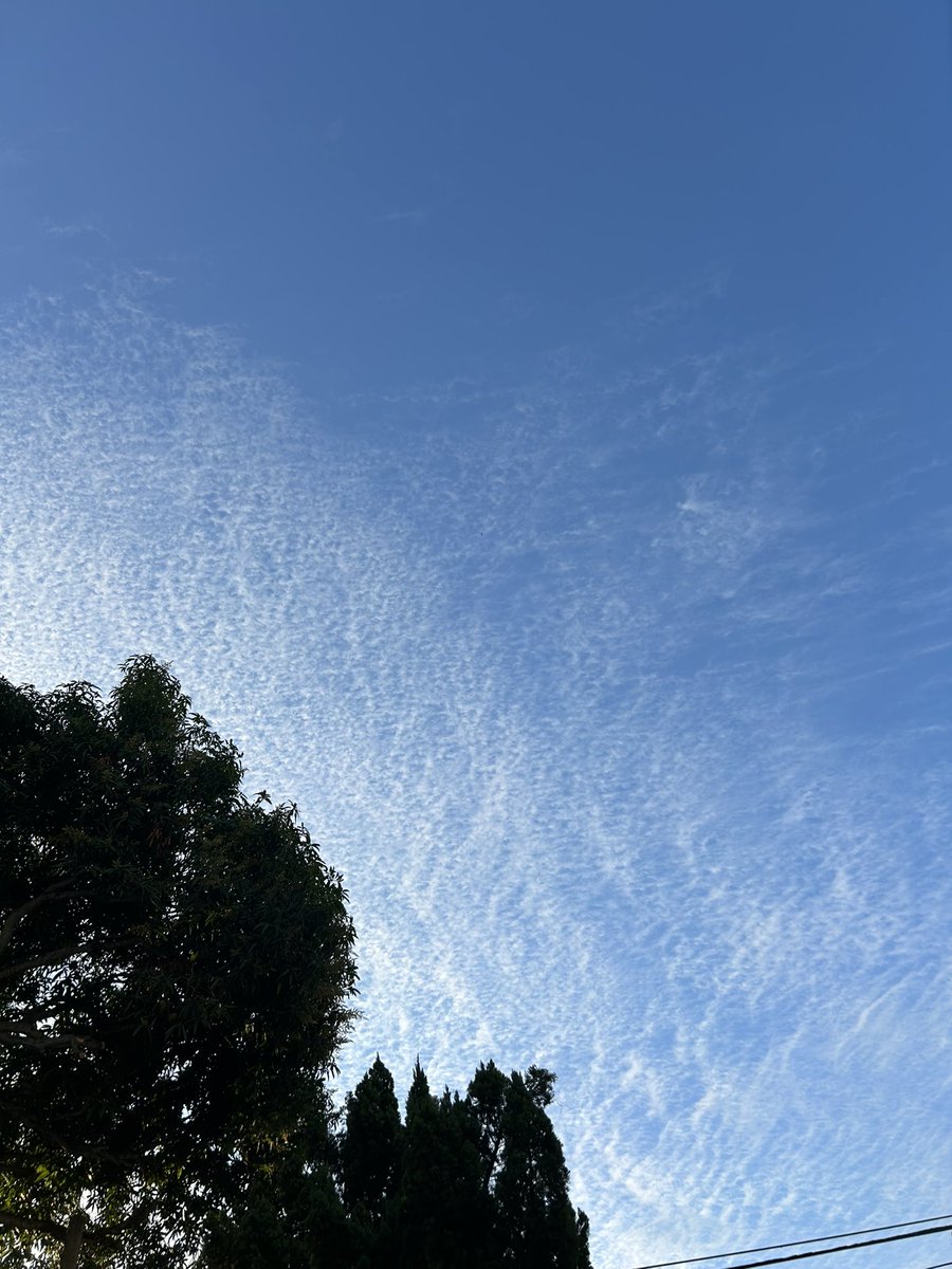 yeh8i's tweet photo. 那一天，天氣很好☁️ https://t.co/fwyxvGUbMl
