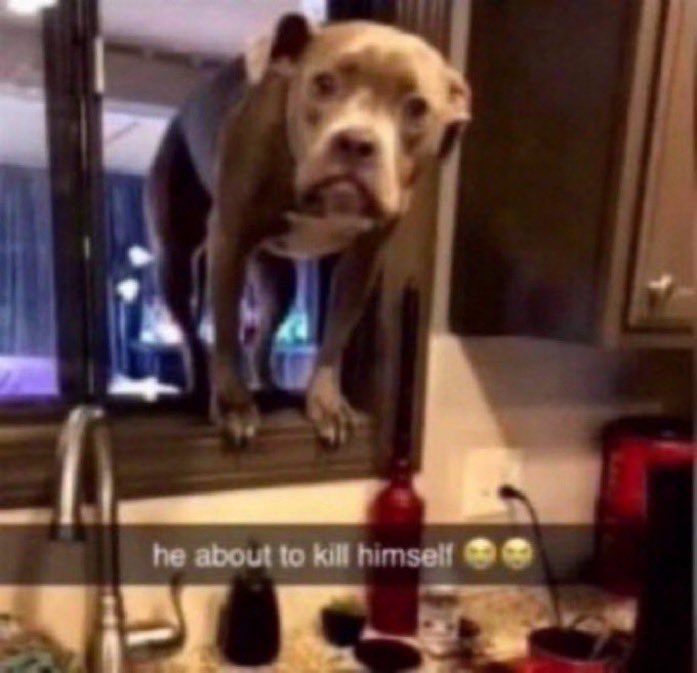 ThunderWolf08's tweet image. Finance bro's when they see a train that connects multiple towns of a few thousand people that doesn't turn a profit of a GAZILLION dollars but exists for the soul benefit of improving society