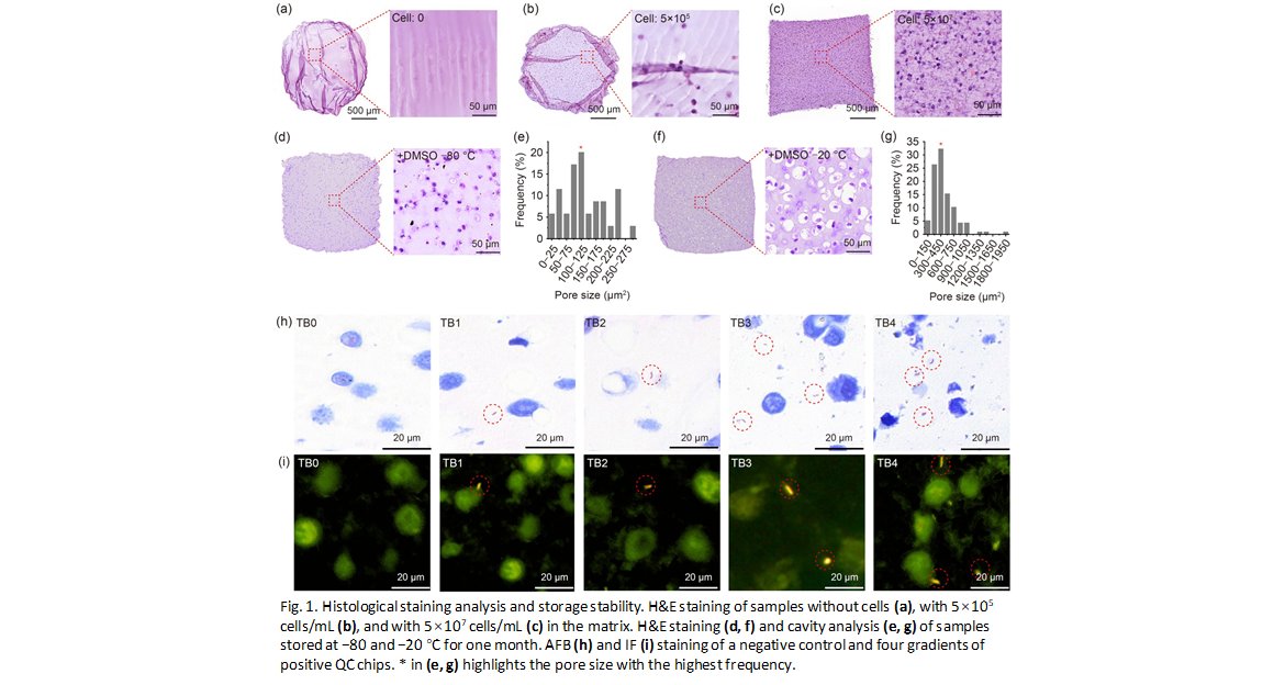Bio-Design and Manufacturing tweet media