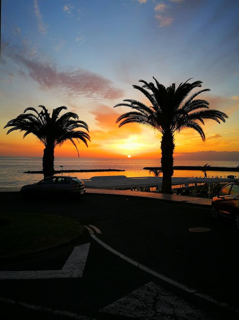 Tenerife Forum tweet media