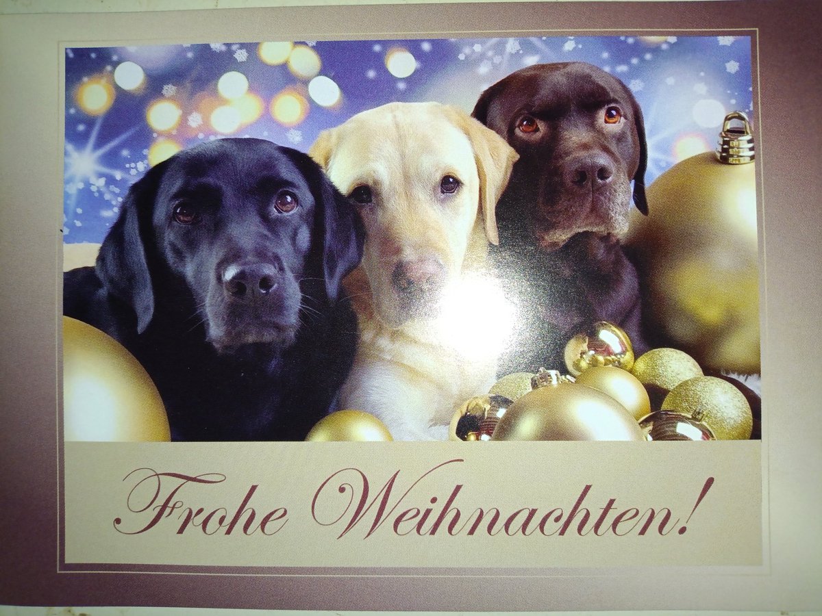 Wenn man vom Weihnachtsurlaub nach Hause kommt und so empfangen wird 🥰
<a href="/falunrot/">Falunrot</a> herzlichen Dank 💚