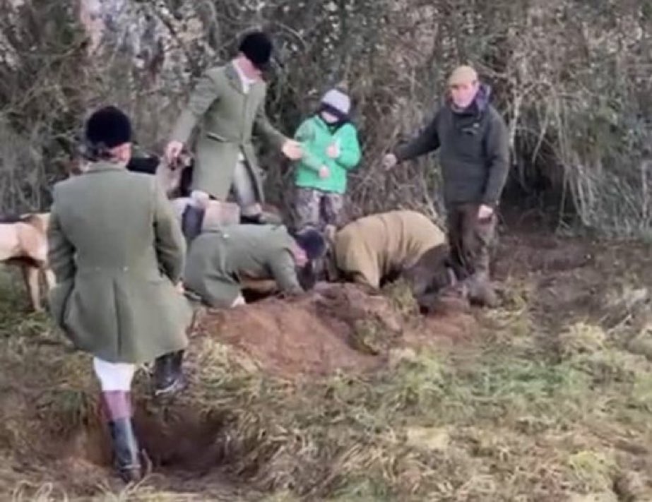 trevhewsongy's tweet image. Explain this picture Joseph.