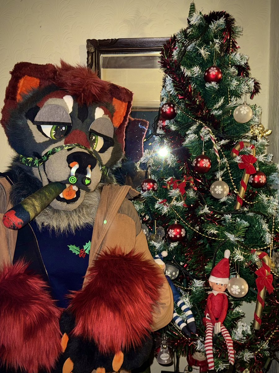 I hope everyone had an amazing Christmas ❣️✨

#furry #furryfandom #fursuit #fursuiting #fursona