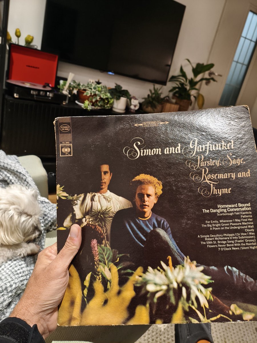 באיזה שלב הפסקנו לשמוע תקליטים? 
שכחתי כמה זה מענג