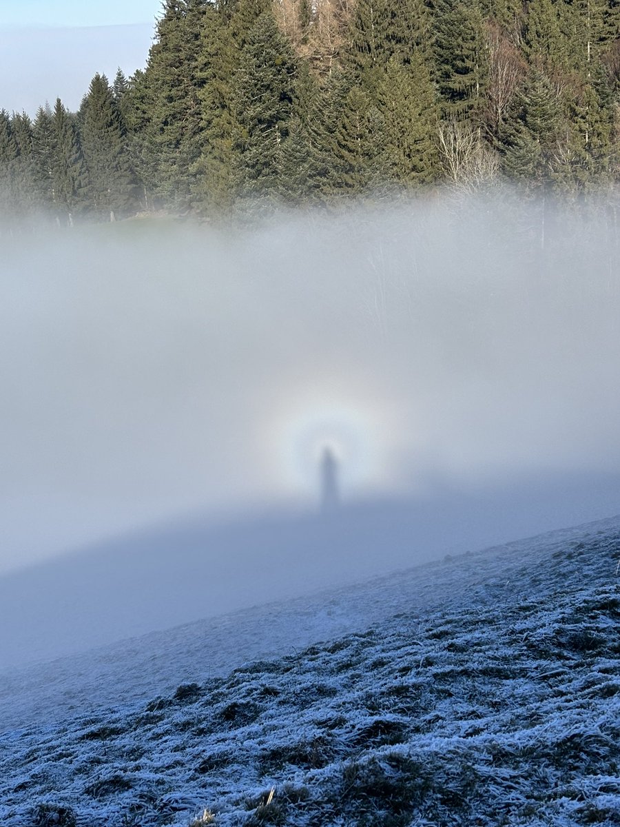 Heute im Nebel und der eigene Schatten erscheint im Licht der Sonne