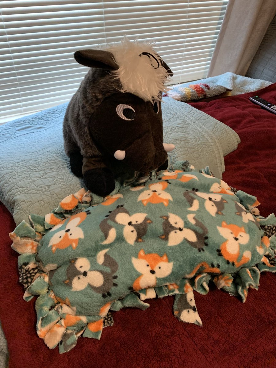 Wylie Sheltie🌈 tweet media