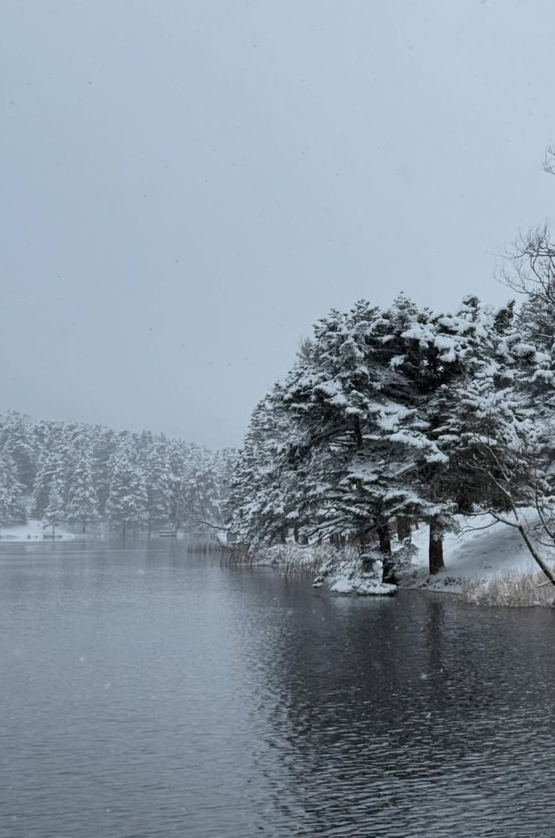 ❄️ Doğadaki huzur ☃️