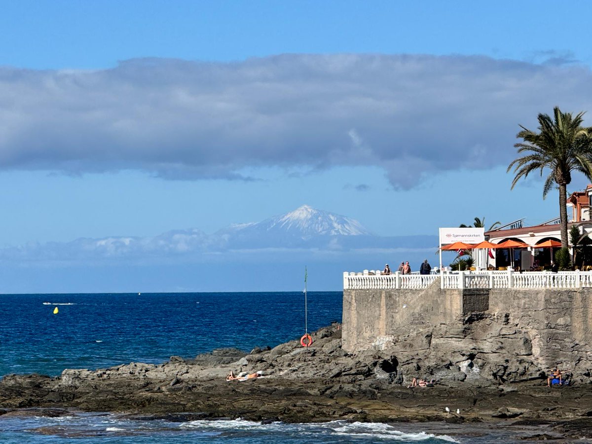 Mocho 🇮🇨🏖️🌅 tweet media