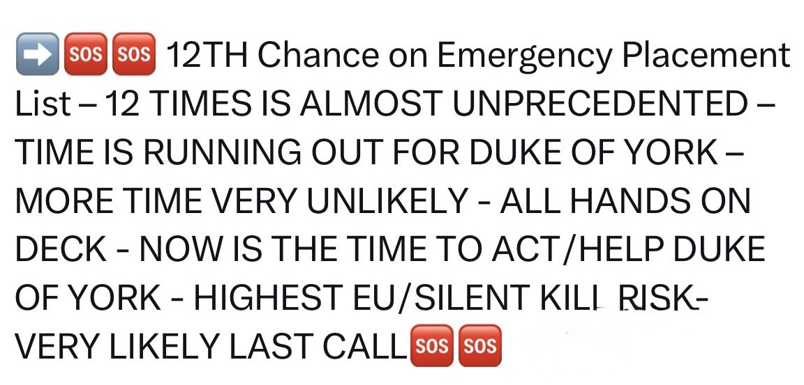 Nutmeg's Crew🌻🇺🇦 tweet media