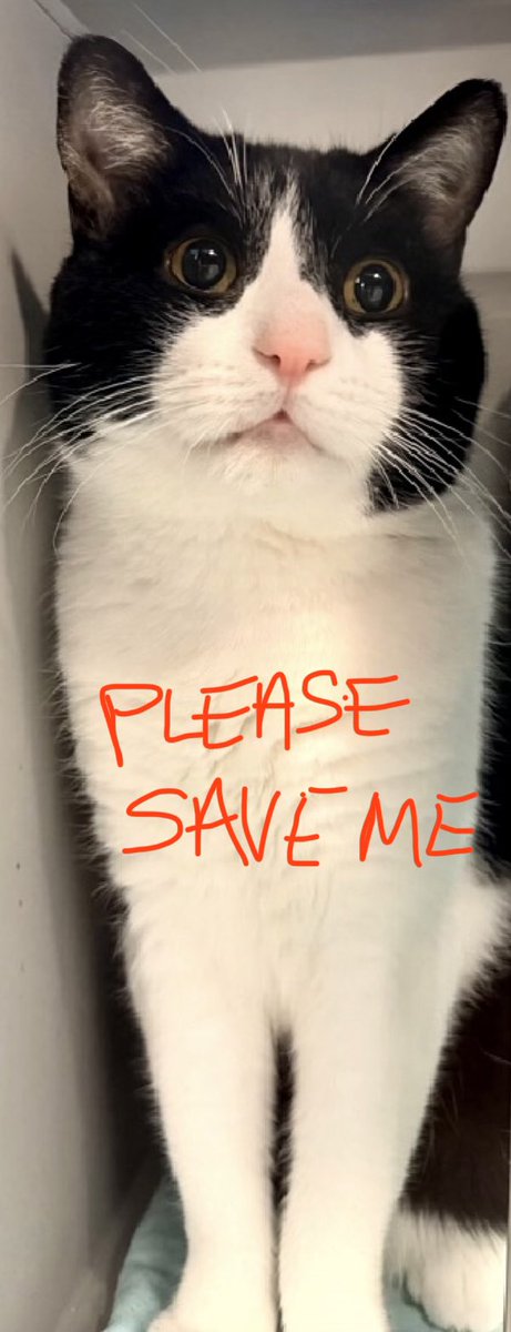 Nutmeg's Crew🌻🇺🇦 tweet media