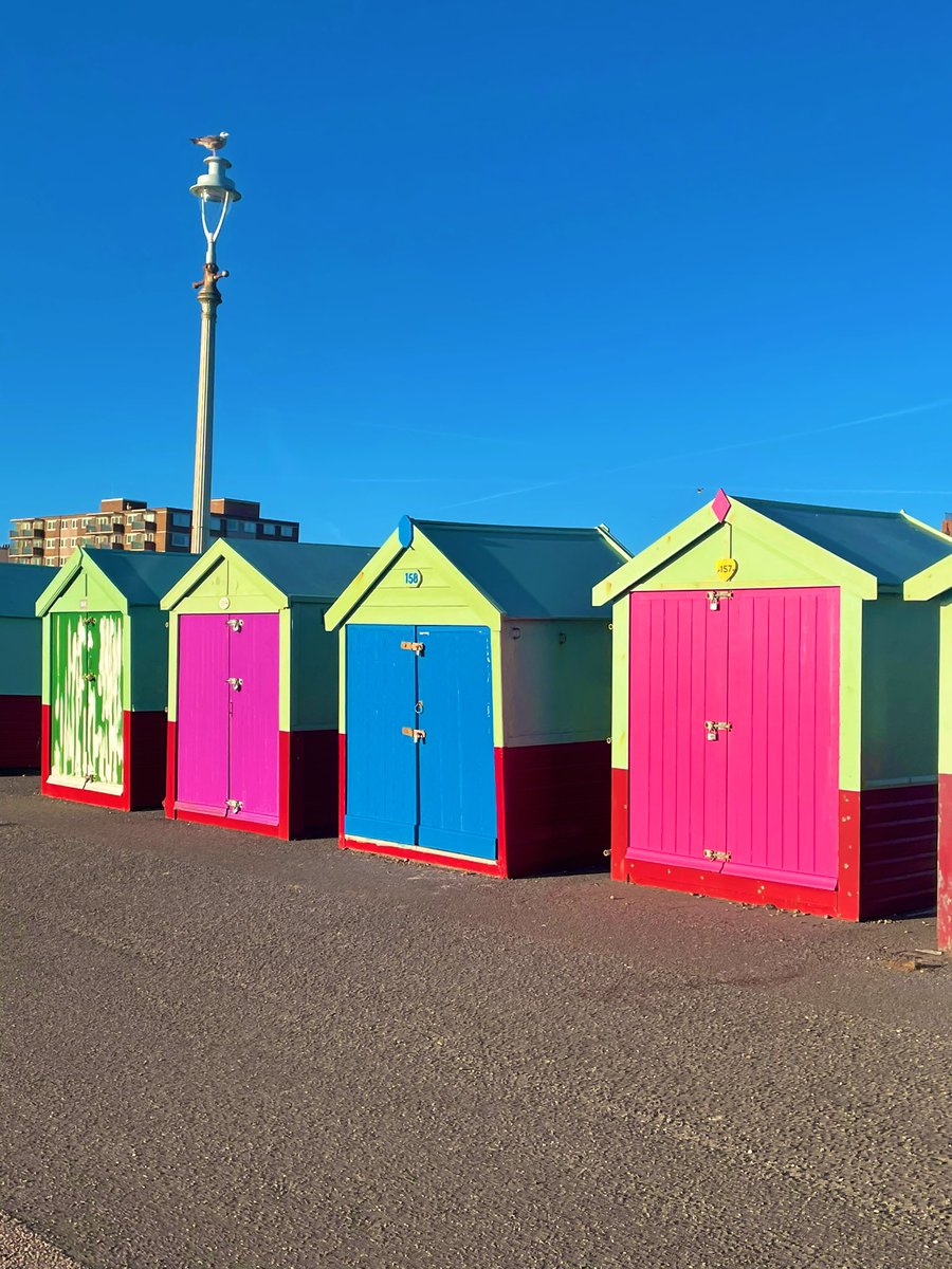 TaraTeacher1's tweet image. Brighton was absolutely perfect today (ignoring the fact I can’t feel my feet🥶) #brighton #wintersun #cold #coast #christmas