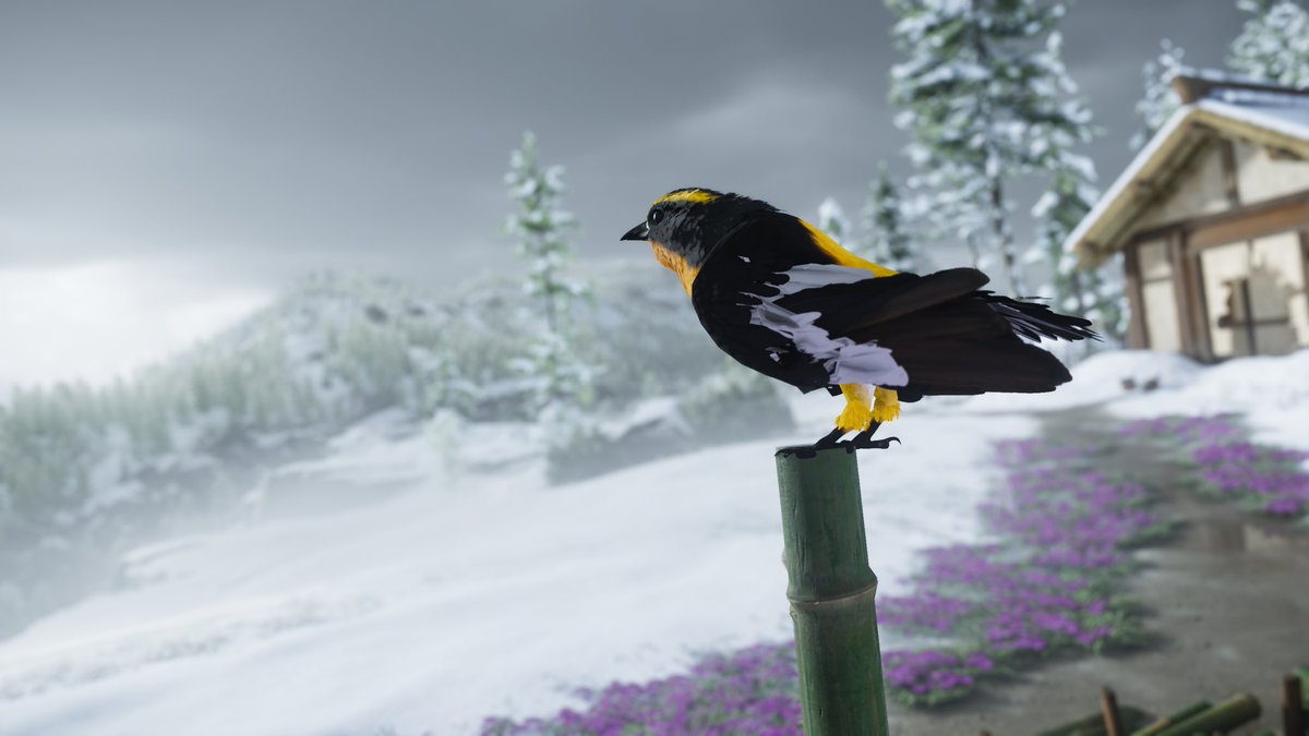 PhotoModeFav's tweet image. Ghost of Yōtei (PS5) 

#Virtualphotography #PhotoMode #IngamePhotography #Gaming #GhostofYotei #ps5