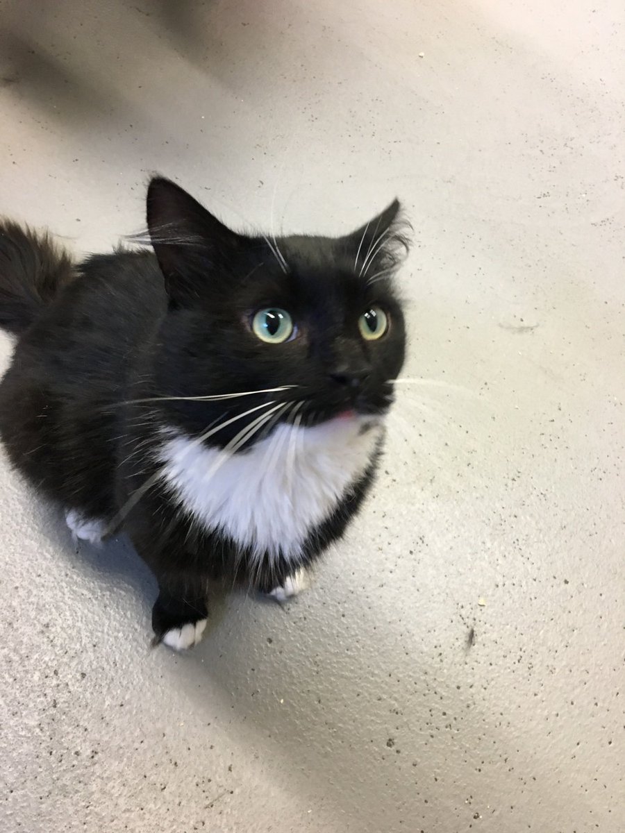 Big Jonch Fan Famous tweet media