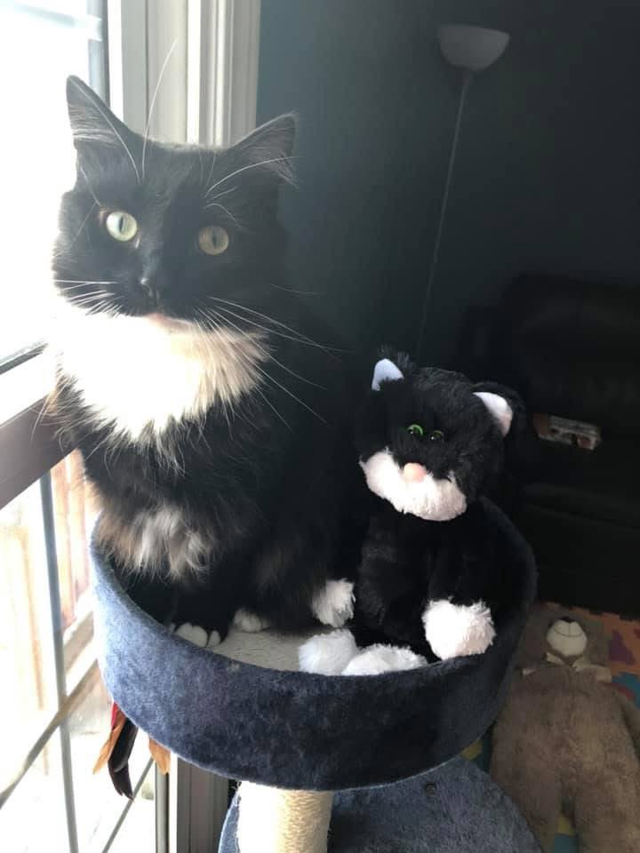 Big Jonch Fan Famous tweet media