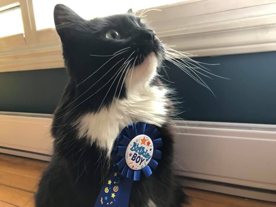 Big Jonch Fan Famous tweet media