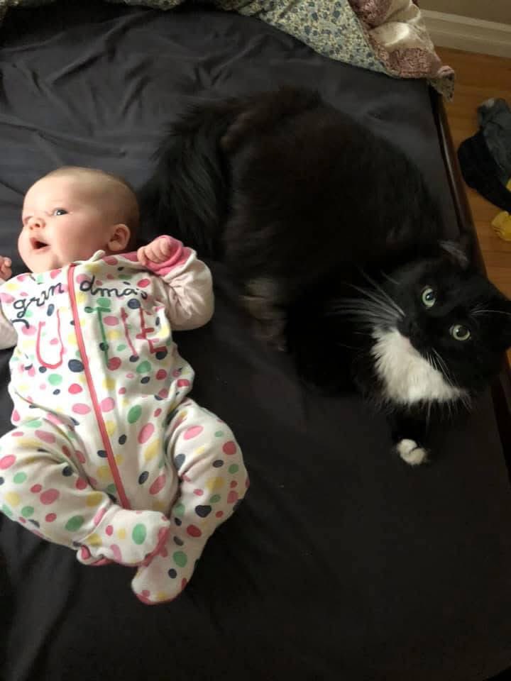 Big Jonch Fan Famous tweet media