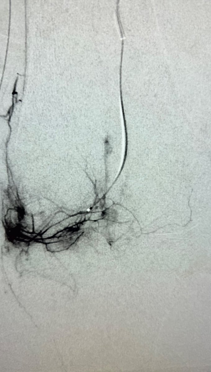 Austin Bourgeois tweet media