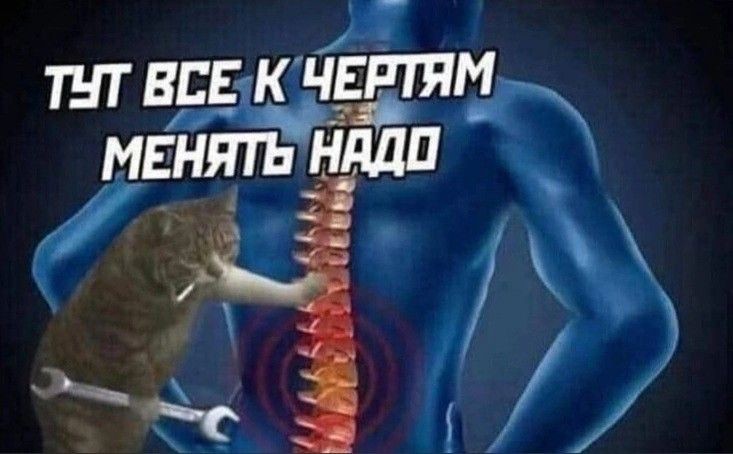 Supper_Cucumber's tweet photo. Жизнь 25+ начала ощущаться так https://t.co/N7yFywfgUi