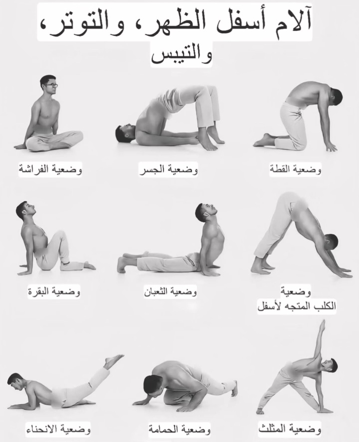 SjVea's tweet photo. 🔹 فوائد تمارين أسفل الظهر للتوتر والتيبّس :

🔴 تخفّف من آلام أسفل الظهر وتقلّل الضغط على العمود الفقري.
🔴 تقلّل من التيبّس وتزيد من مرونة العضلات والمفاصل.
🔴 تنشّط الدورة الدموية وتمنح إحساساً بالراحة والاسترخاء.
🔴 تقوّي عضلات البطن والظهر وتحسّن استقامة القوام.
🔴 تُحدّ من آثار الجلوس الطويل وتخفّف من آلام الرقبة والكتفين.
🔴 ترفع مستوى الطاقة والحيوية وتساعد على تحسين جودة النوم.
🔴 تعزّز التوازن والمرونة العامة للجسم وتقلّل من التوتر النفسي.

💡 المداومة على هذه التمارين لبضع دقائق يومياً كفيلة بإحداث فرق ملحوظ في صحتك وراحتك.