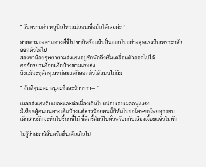 Pippy_Petra tweet media