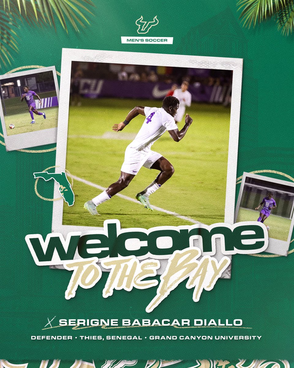 USF Men's Soccer tweet media