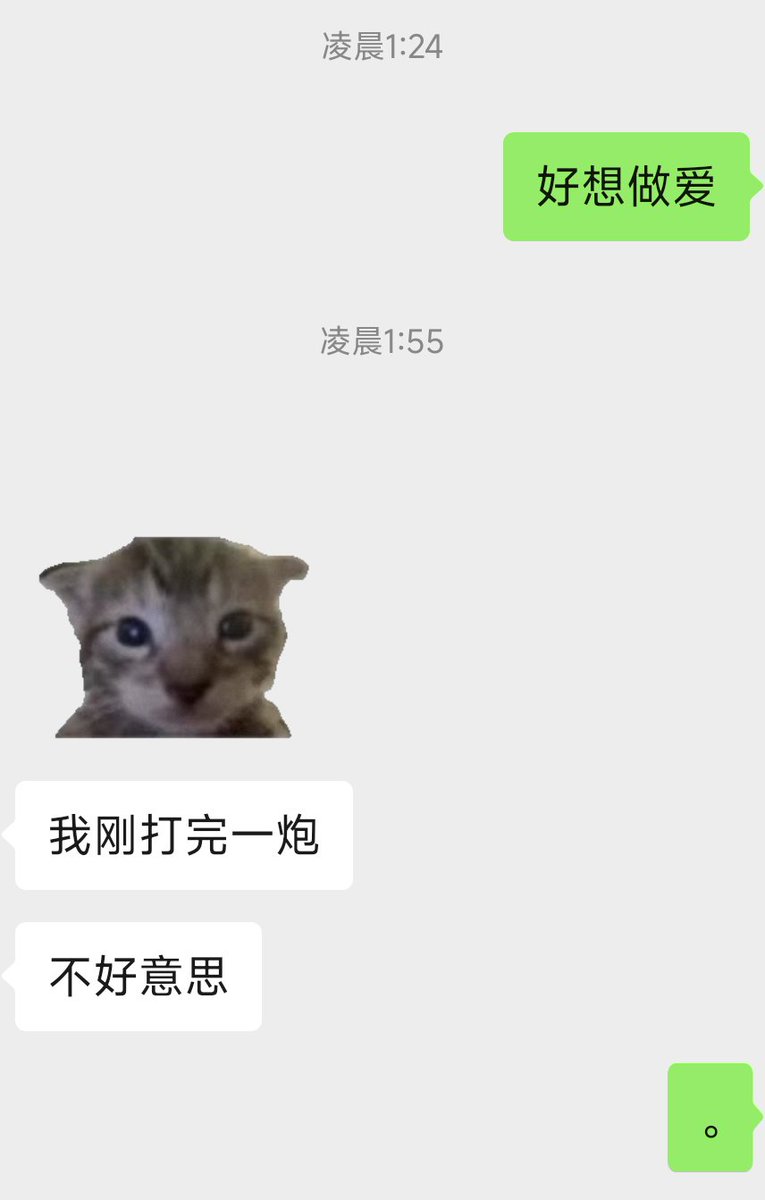 特猫头头 tweet media