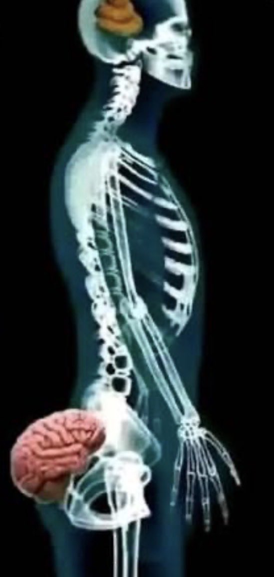 ZooWeeMama tweet media