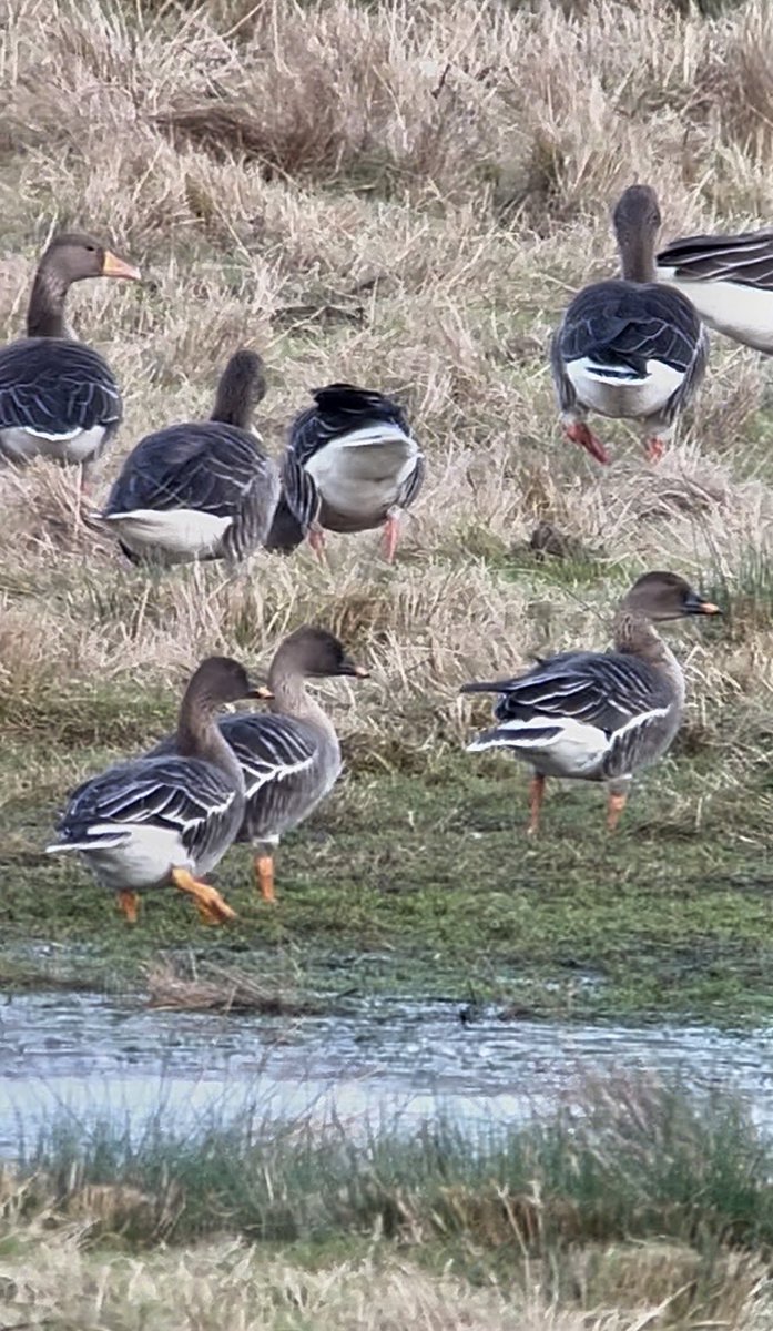 Justin Zantboer tweet media