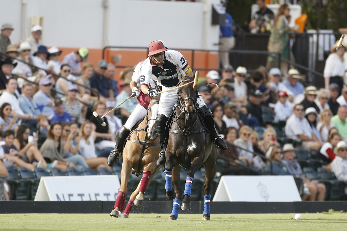 National Polo Center tweet media