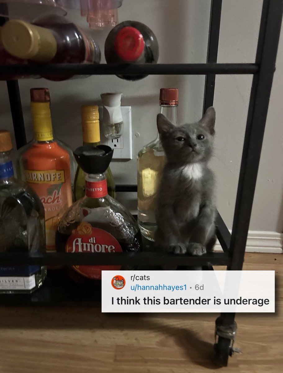 PowerfulAuraX's tweet image. 