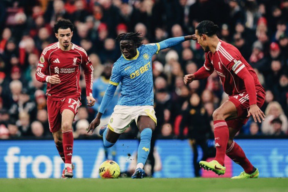 Nathan Judah tweet media