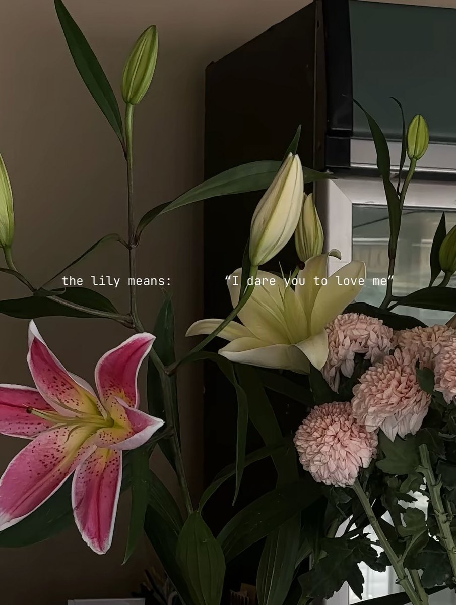 1leio's tweet image. 