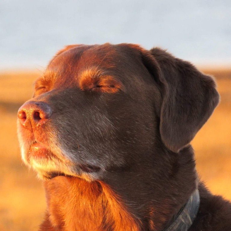 StefanieGD⚔️ tweet media